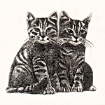二匹の子猫 (c012)