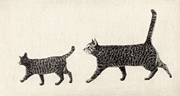 お散歩・二匹の猫 (c021)