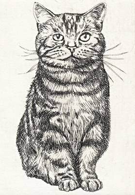 前向きな猫 (c006)・銅版画
