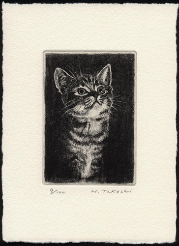 見上げる子猫・A (c004)・銅版画
