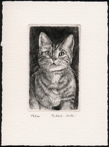 見つめる子猫 (c016)・銅版画