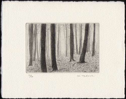 落ち葉の雑木林 (n005)・銅版画