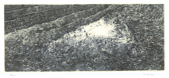 冬のたんぼ（n003)・銅版画