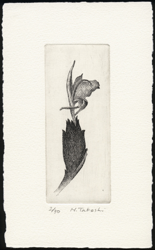 茗荷の花 (p015)・銅版画