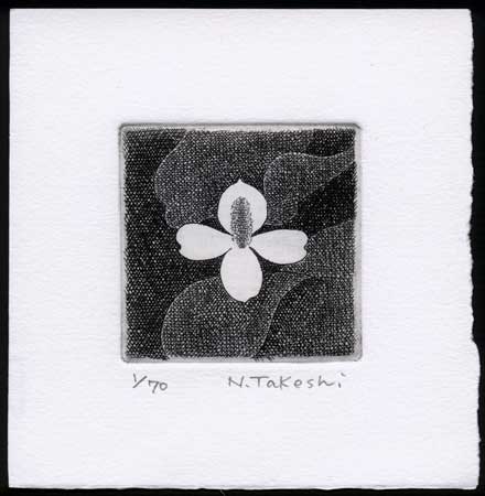 白い花・2018A (p027)・銅版画
