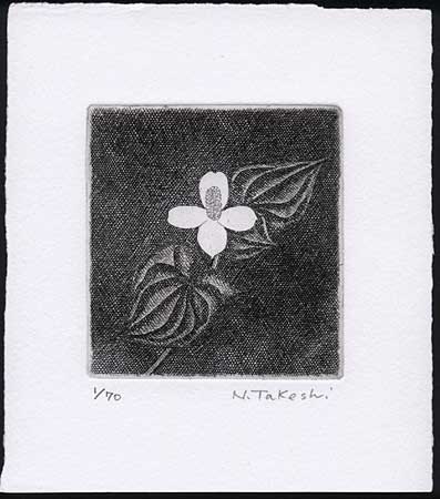 白い花・2018B (p028)・銅版画